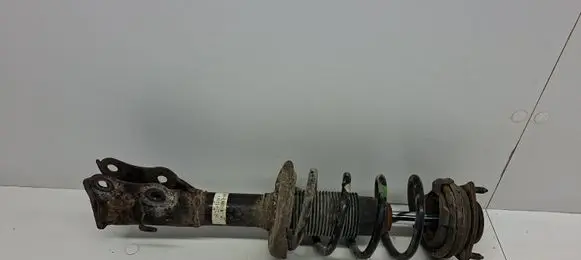Front shock absorber with coil spring