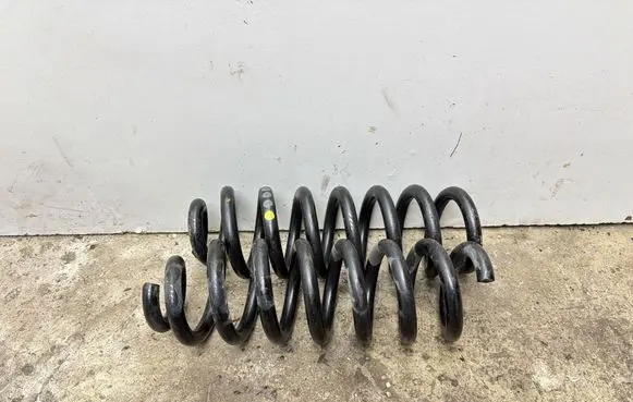 Rear coil spring