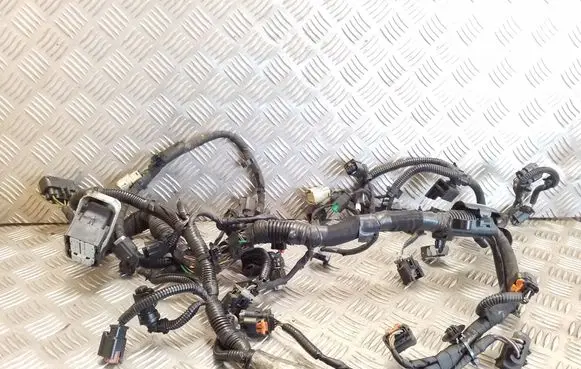 Ford Galaxy Engine installation wiring loom DU5T12C508