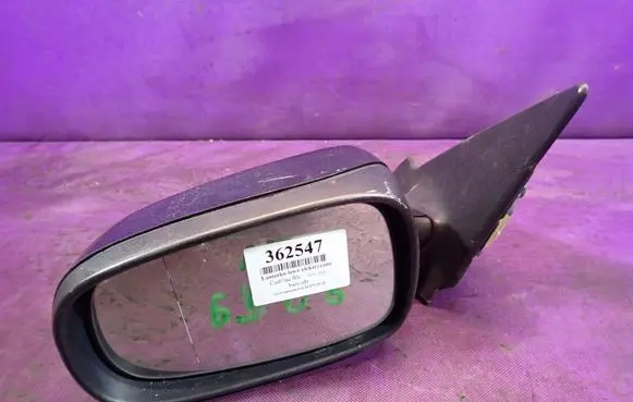Front door electric wing mirror