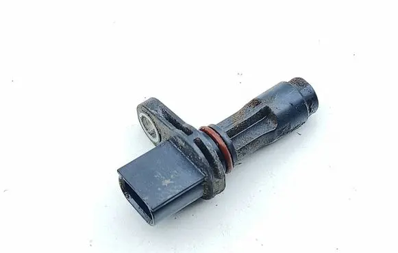 Toyota RAV 4 (XA50) Camshaft position sensor 419005D01