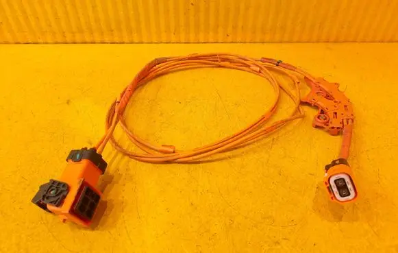 Tesla Model 3 Other wiring loom 110900405G