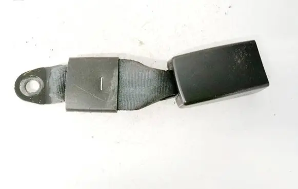 Dodge Journey Rear seatbelt buckle 1AN191DVAA 53064101