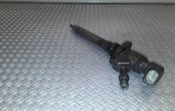 Citroen C5 Fuel injector 9658194180