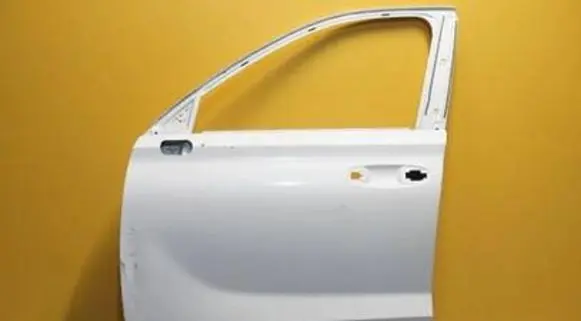 Hyundai Palisade Front door