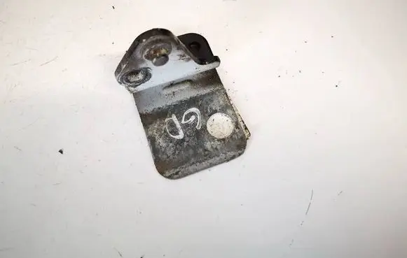 Rear door lower hinge