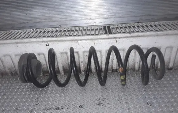 Volkswagen Polo IV 9N3 Rear coil spring