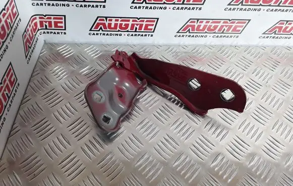 Tesla Model 3 Engine bonnet/hood hinges 70201 109879200C