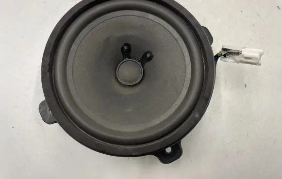 Chevrolet Captiva Front door speaker 25907867 C100 LG13S