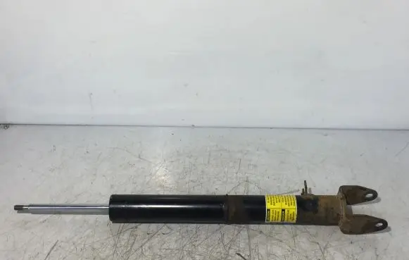 Tesla Model S Front shock absorber/damper F4BE5J091W0