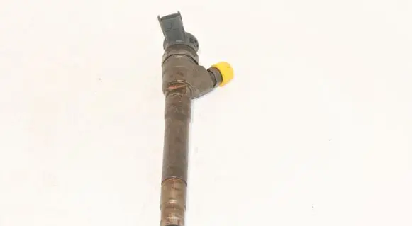 Renault Trafic II (X83) Fuel injector 0445110546