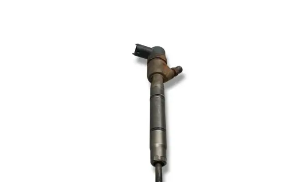 KIA Ceed Fuel injector 0445110320 338002A900