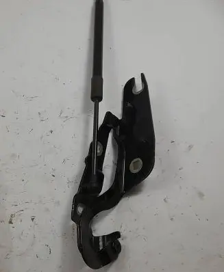 Rear door lower hinge