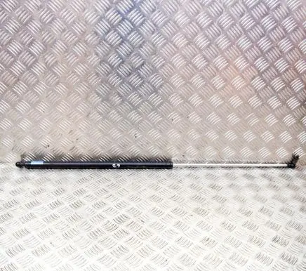 Tailgate/trunk strut/damper