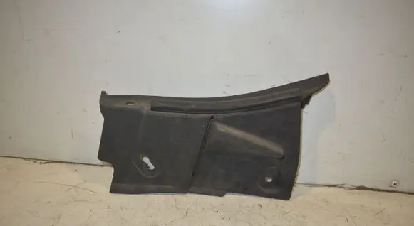 Engine bonnet/hood lock trim molding