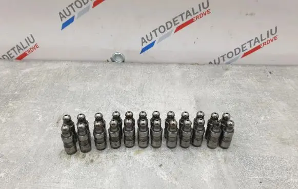 BMW X5 F15 Tappets lifter N57 24X