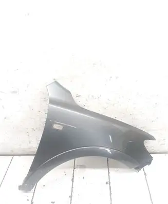 Hyundai Santa Fe Fender