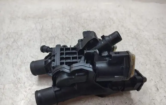 Thermostat/thermostat housing
