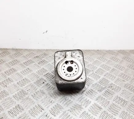 Skoda Octavia Mk2 (1Z) Oil filter mounting bracket 