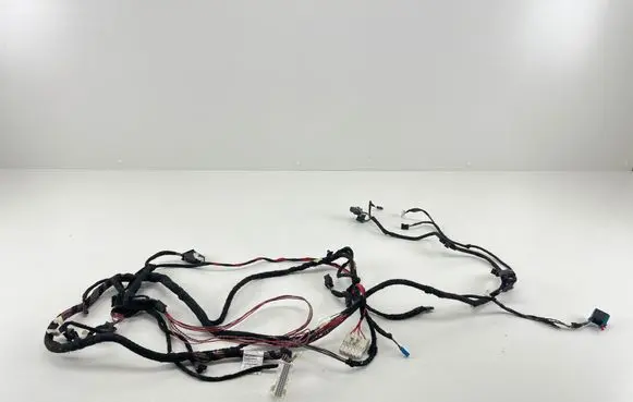 BMW X5 F15 Other wiring loom 9208206 F7G42908601 21022014A