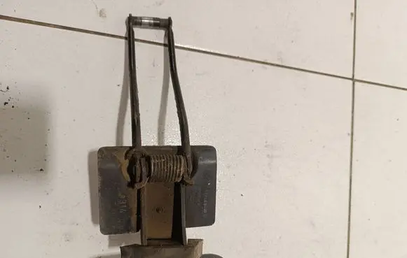 Ford Transit Loading door check strap stopper BK31V44100 D3L5A