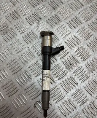 Opel Insignia A Fuel injector 55570012