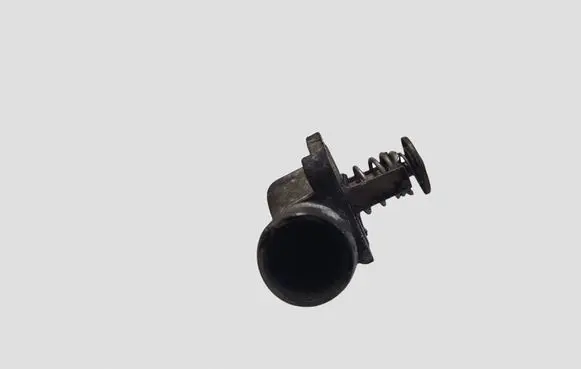 Volkswagen Touareg I Thermostat/thermostat housing 070121114
