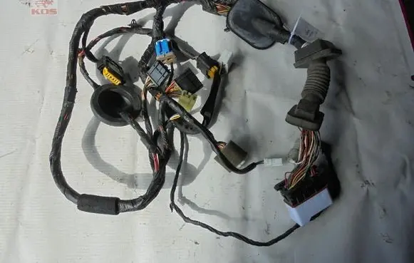 Front door wiring loom