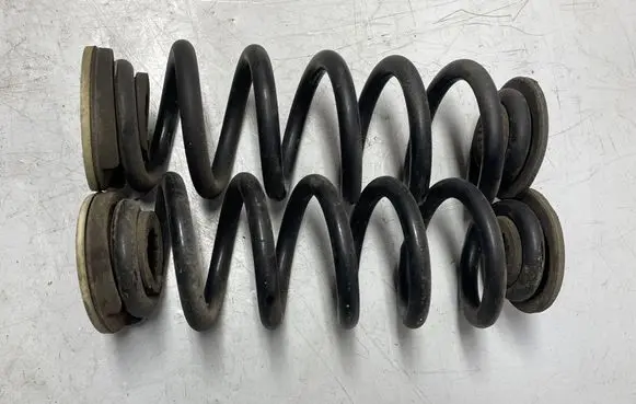 Rear coil spring