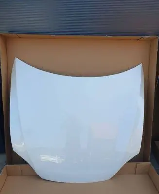 Tesla Model S Engine bonnet/hood