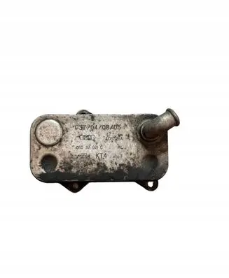 Seat Leon (5F) Oil filter mounting bracket 06D117021C