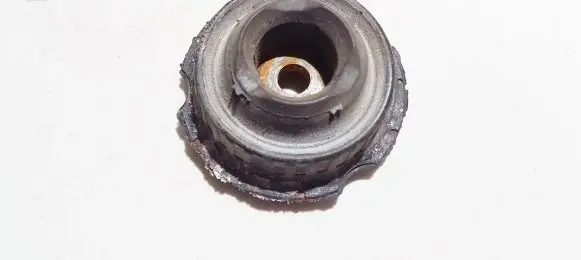 Coil spring mount