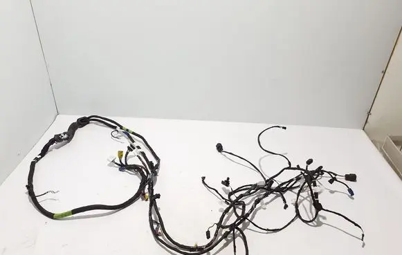 Tesla Model X Other wiring loom 103244301H