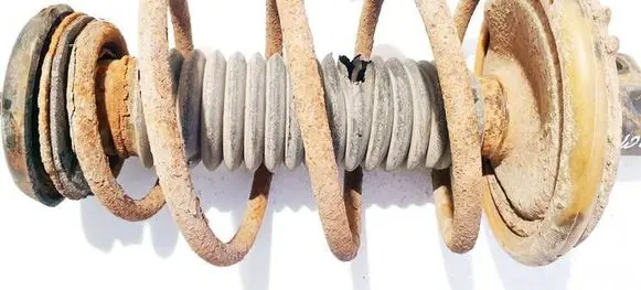 Front coil spring