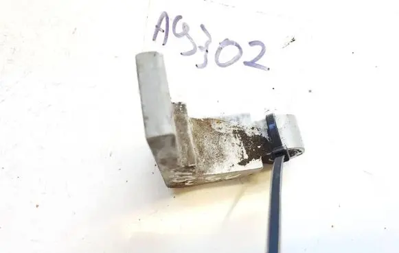 Rear door lower hinge