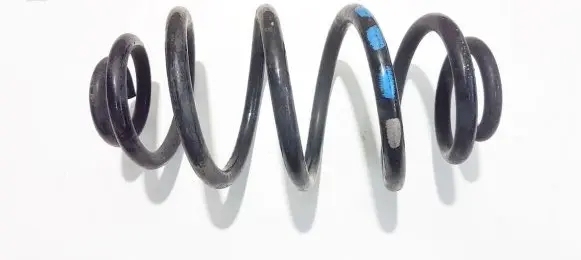 Volkswagen PASSAT B5 Rear coil spring