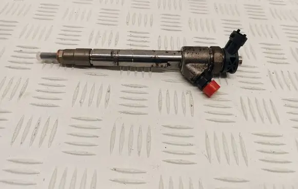 Citroen C3 Aircross Fuel injector 0445110955 9828959880