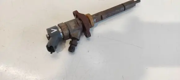Citroen C4 I Fuel injector 0445110239 7BB07606680