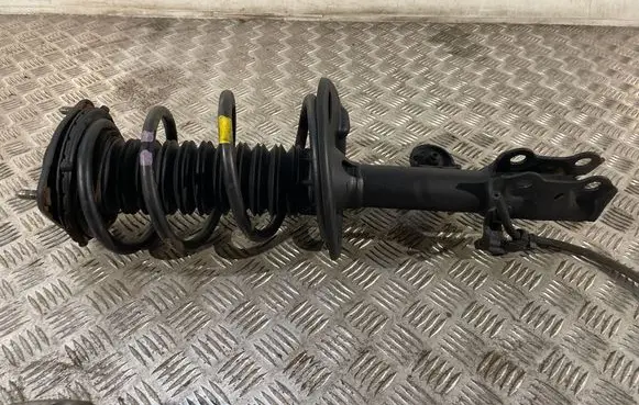 Toyota RAV 4 (XA40) Front shock absorber with coil spring