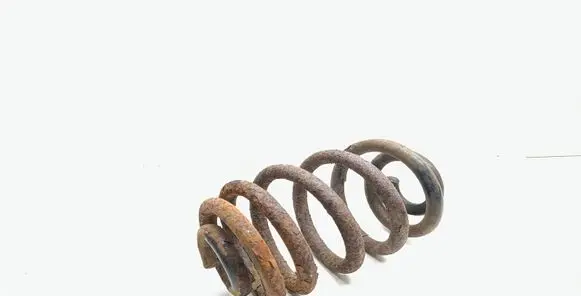 Rear coil spring