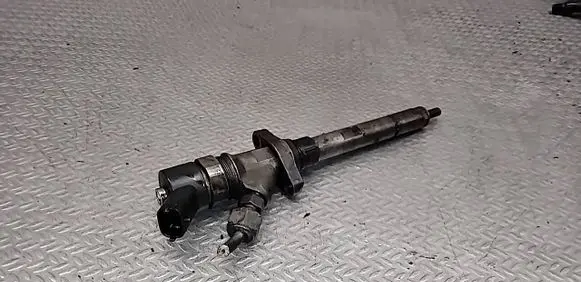 Peugeot 607 Fuel injector 0445110036
