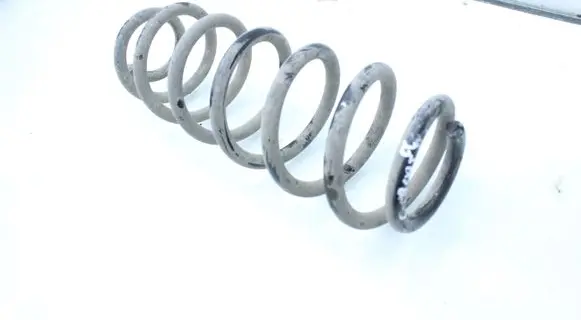 Rear coil spring