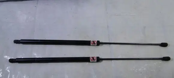 Ford Grand C-MAX Tailgate strut 