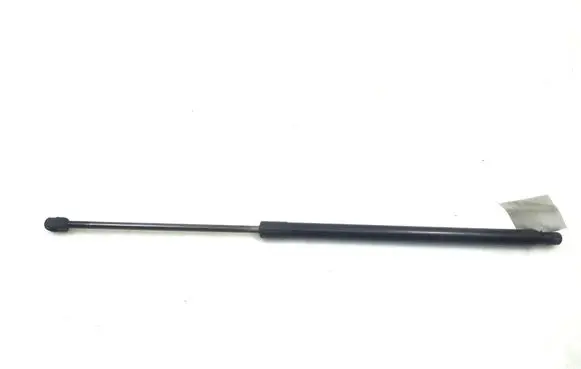 Tailgate strut