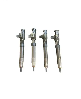 Citroen C5 Fuel injector 9674984080 2489MJ16F42 28388960