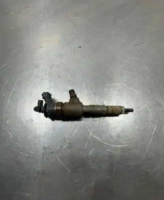 Ford Fiesta Fuel injector 0445110252