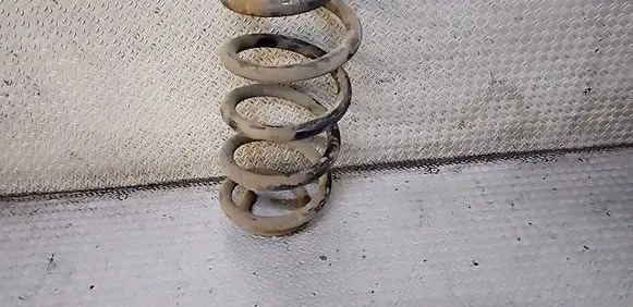 Rear coil spring