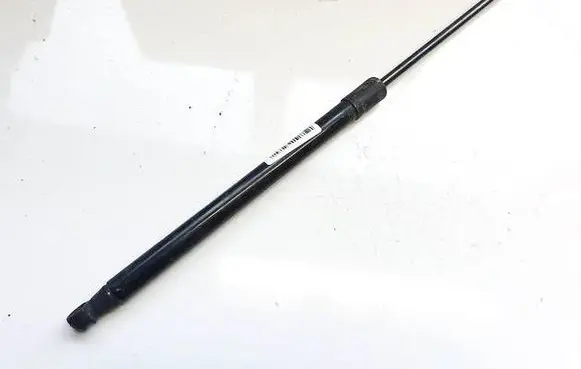Tailgate/trunk strut/damper