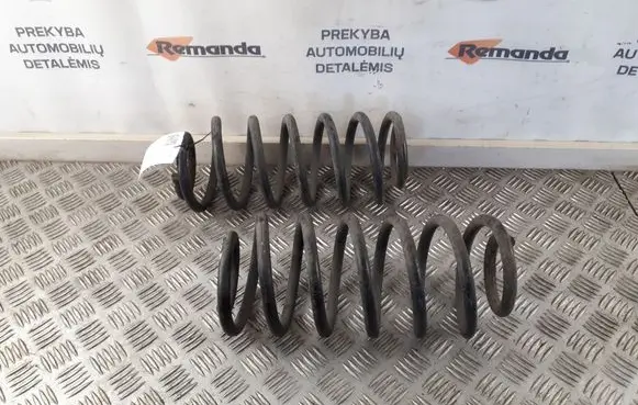 Rear coil spring