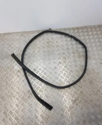 Nissan Qashqai Rubber seal rear door 